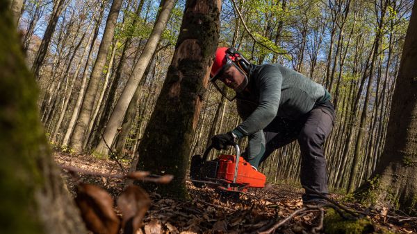 Guide des équipements de protection pour forestiers avisés